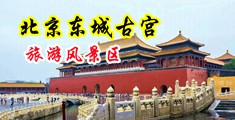 插我得逼操视频中国北京-东城古宫旅游风景区